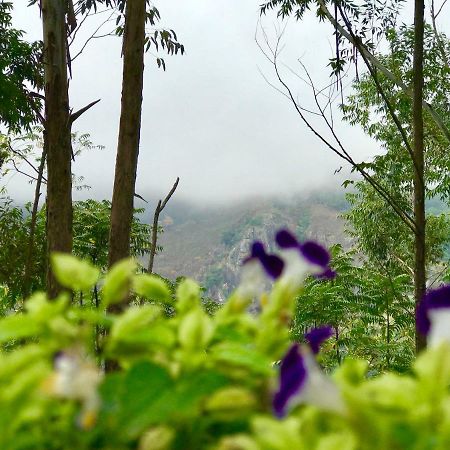 Shades Ella Hotel Ngoại thất bức ảnh